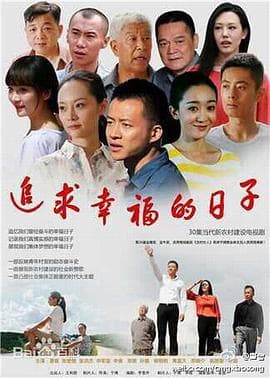 追求幸福的日子 - 国产剧 (2014) 海报