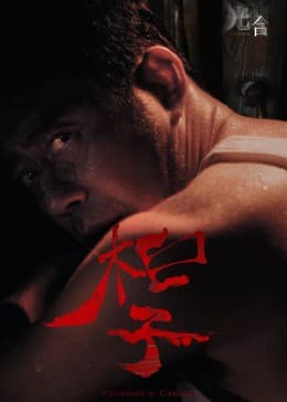 光合计划 - 国产剧 (2023) 海报