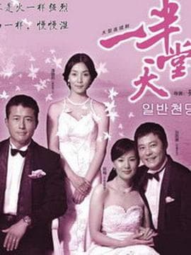 一半天堂 - 国产剧 (2008) 海报