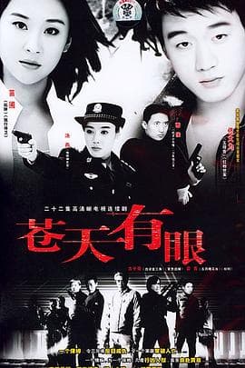 苍天有眼 - 国产剧 (2004) 海报