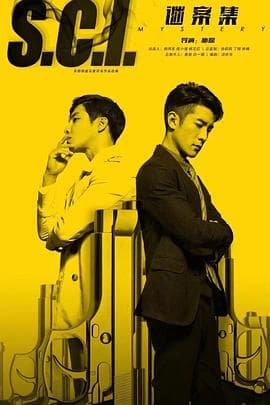 S.C.I.谜案集 - 国产剧 (2018) 海报
