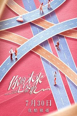 你的未来已签收 - 国产剧 (2019) 海报