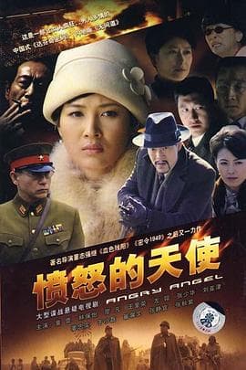 愤怒的天使 - 国产剧 (2009) 海报