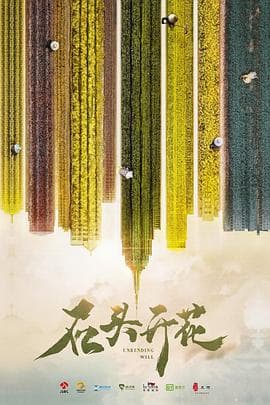 石头开花 - 国产剧 (2020) 海报