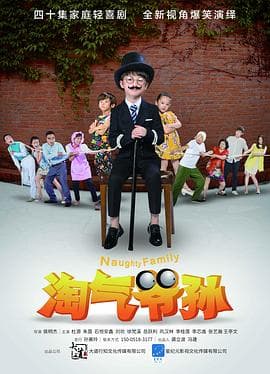 淘气爷孙 - 国产剧 (2016) 海报