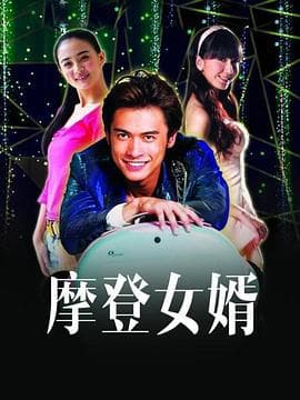 摩登女婿 - 国产剧 (2012) 海报