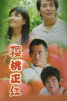 樱桃正红 - 国产剧 (2005) 海报