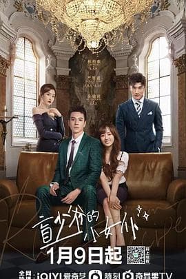 盲少爷的小女仆2023 - 国产剧 (2023) 海报