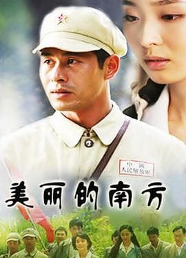 美丽的南方 - 国产剧 (2008) 海报