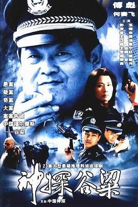 神探谷梁 - 国产剧 (2003) 海报