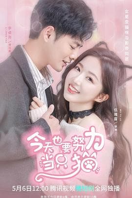 今天也要努力当只猫 - 国产剧 (2022) 海报