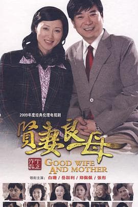 贤妻良母 - 国产剧 (2009) 海报