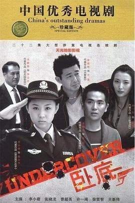 《卧底》 - 国产剧 (2014) 海报
