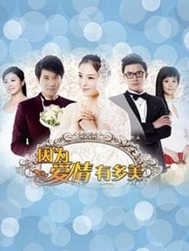 因为爱情有多美DVD - 国产剧 (2013) 海报