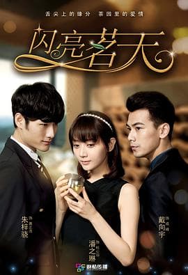 闪亮茗天 - 国产剧 (2015) 海报