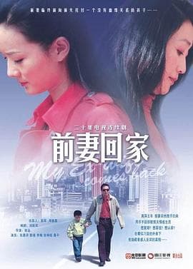 前妻回家 - 国产剧 (2008) 海报