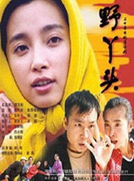 野丫头 - 国产剧 (2001) 海报