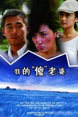我的傻瓜老婆 - 国产剧 (2009) 海报