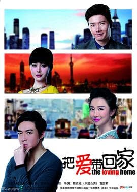 把爱带回家DVD - 国产剧 (2014) 海报