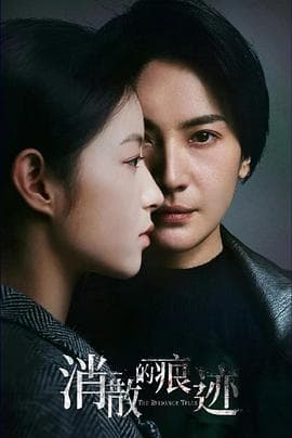 消散的痕迹 - 国产剧 (2023) 海报