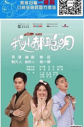 我叫郝聪明 - 国产剧 (2013) 海报