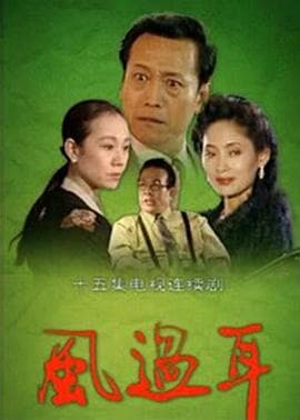 风过耳 - 国产剧 (1994) 海报
