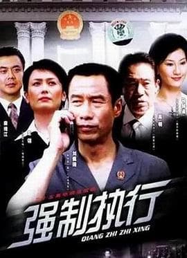 强制执行 - 国产剧 (2004) 海报
