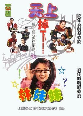 天上掉下个林妹妹 - 国产剧 (2003) 海报
