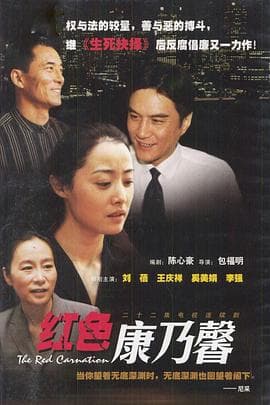 红色康乃馨 - 国产剧 (2000) 海报