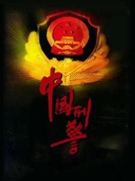中国刑警2001 - 国产剧 (2001) 海报