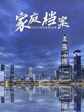 家庭档案 - 国产剧 (2008) 海报