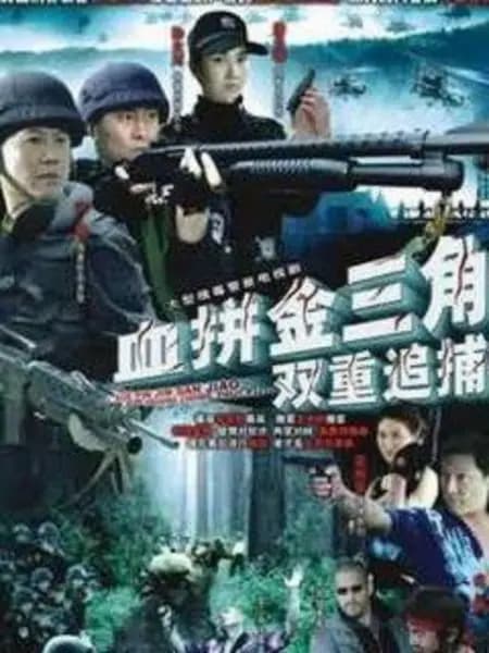 双重追捕血拼金三角 - 国产剧 (2007) 海报