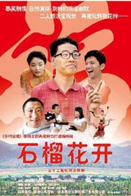 石榴花开 - 国产剧 (2007) 海报