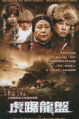 虎踞龙盘 - 国产剧 (2007) 海报