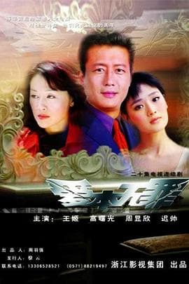 爱本无罪 - 国产剧 (2005) 海报