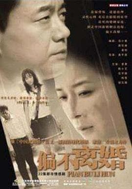 婚姻的敌人 - 国产剧 (2004) 海报