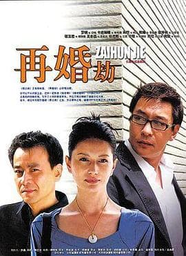 再婚劫 - 国产剧 (2009) 海报