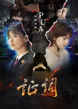 证词 - 国产剧 (2023) 海报