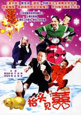 家和万事兴之抬头见喜 - 国产剧 (2006) 海报