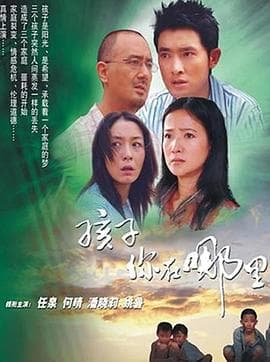 孩子你在哪里 - 国产剧 (2006) 海报