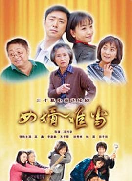 女婿难当 - 国产剧 (2010) 海报