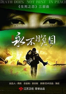 永不瞑目 - 国产剧 (2011) 海报