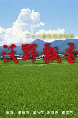 沃野飘香 - 国产剧 (2010) 海报