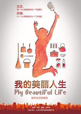 我的美丽人生 - 国产剧 (2010) 海报