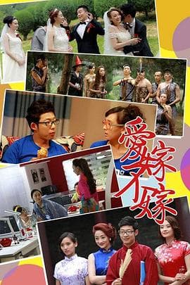 爱嫁不嫁 - 国产剧 (2016) 海报