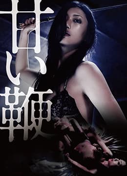 甜蜜皮鞭 - 日本伦理 (2013) 海报