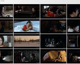 责罚 - 日本伦理 (1977) 海报