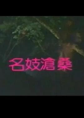 名妓沧桑 - 港台三级 (1990) 海报