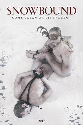 雪地狂欢 - 西方伦理 (2017) 海报