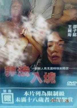 非法入境 - 港台三级 (1997) 海报